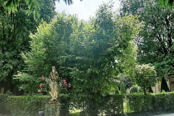 Omelie nella XXVI  domenica del Tempo Ordinario – A